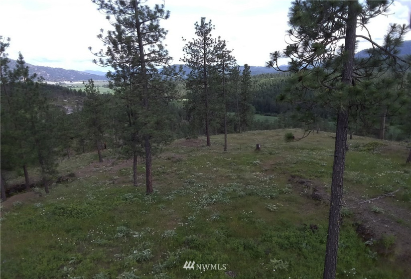 3 LOT Marble Valley Basin, Addy, Washington 99101, ,Land,For Sale,Marble Valley Basin,NWM1878575
