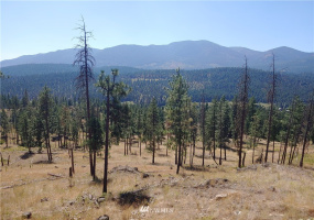 2 LOT Marble Valley Basin, Addy, Washington 99101, ,Land,For Sale,Marble Valley Basin,NWM1878585