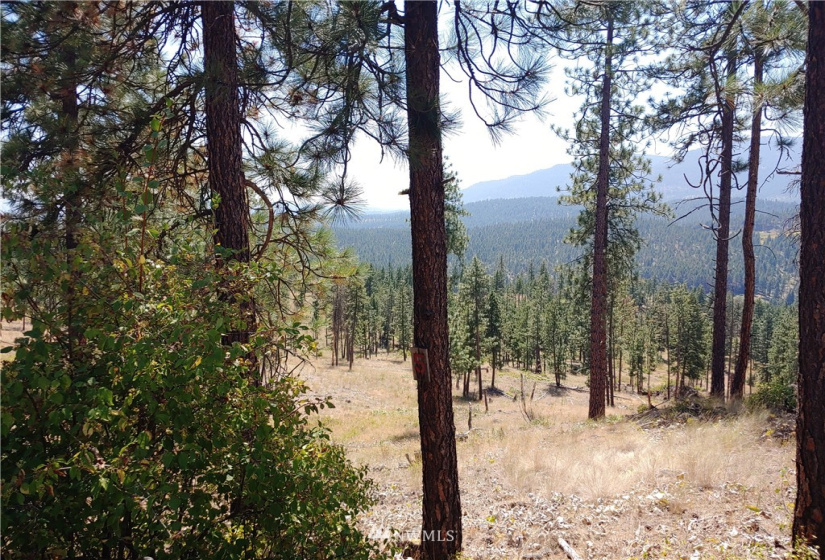 2 LOT Marble Valley Basin, Addy, Washington 99101, ,Land,For Sale,Marble Valley Basin,NWM1878585