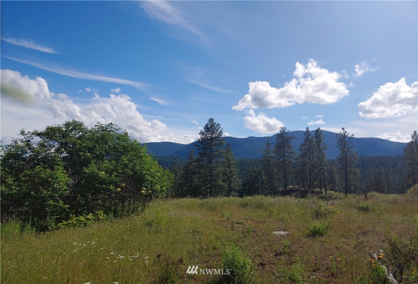 2 LOT Marble Valley Basin, Addy, Washington 99101, ,Land,For Sale,Marble Valley Basin,NWM1878585