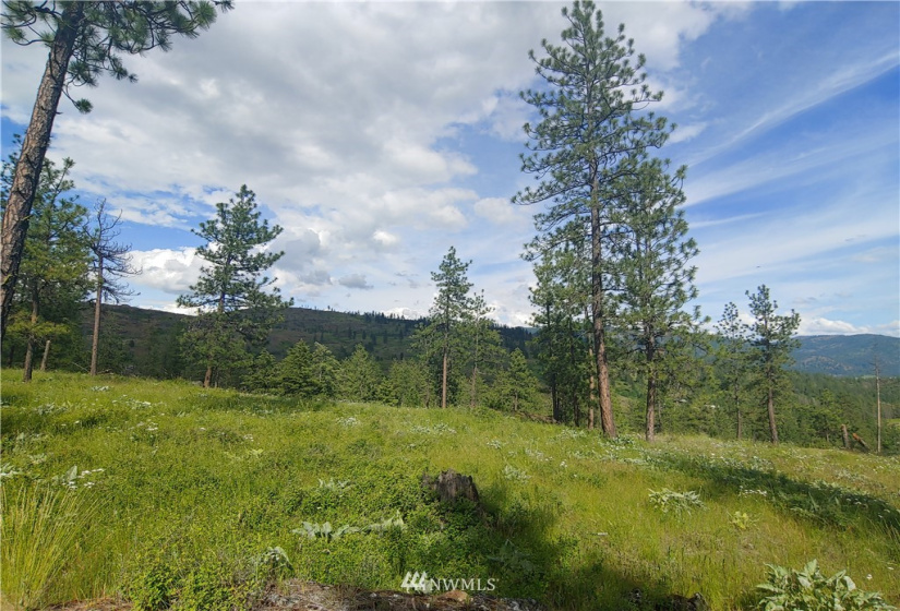 2 LOT Marble Valley Basin, Addy, Washington 99101, ,Land,For Sale,Marble Valley Basin,NWM1878585
