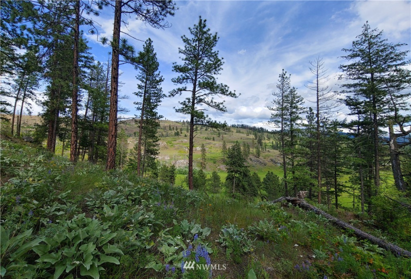 2 LOT Marble Valley Basin, Addy, Washington 99101, ,Land,For Sale,Marble Valley Basin,NWM1878585