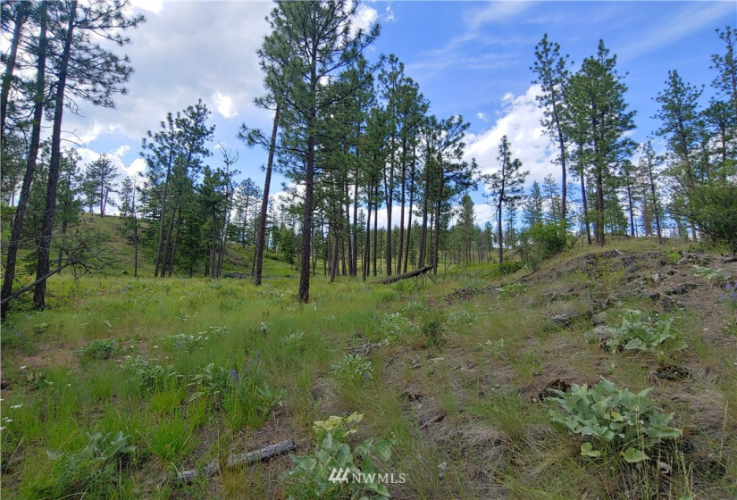 2 LOT Marble Valley Basin, Addy, Washington 99101, ,Land,For Sale,Marble Valley Basin,NWM1878585