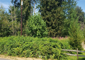 12126 169th, Arlington, Washington 98223, ,Land,For Sale,169th,NWM1878610