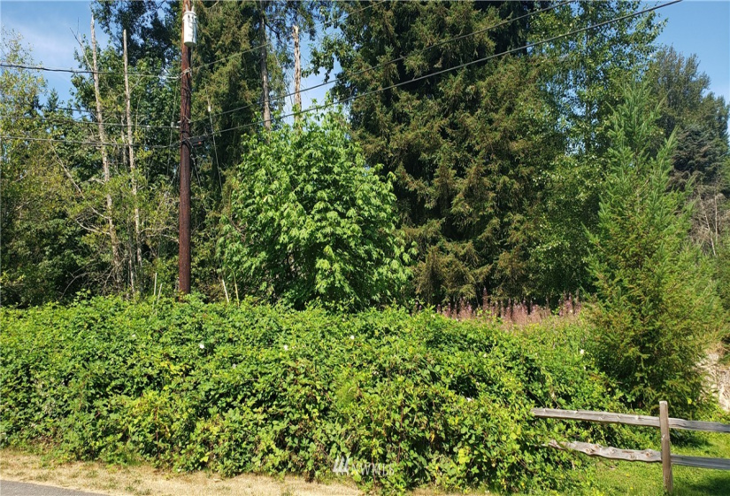 12126 169th, Arlington, Washington 98223, ,Land,For Sale,169th,NWM1878610