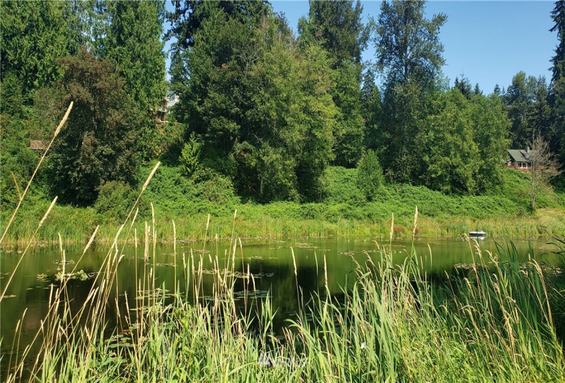12126 169th, Arlington, Washington 98223, ,Land,For Sale,169th,NWM1878610
