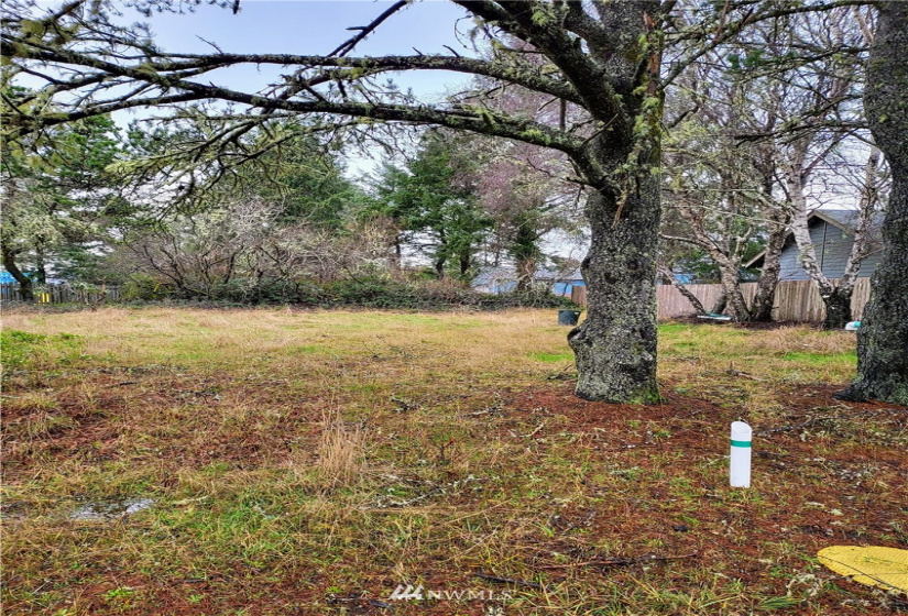 150 Seagate, Ocean Shores, Washington 98569, ,Land,For Sale,Seagate,NWM1877924