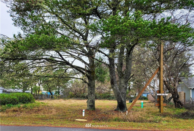 150 Seagate, Ocean Shores, Washington 98569, ,Land,For Sale,Seagate,NWM1877924