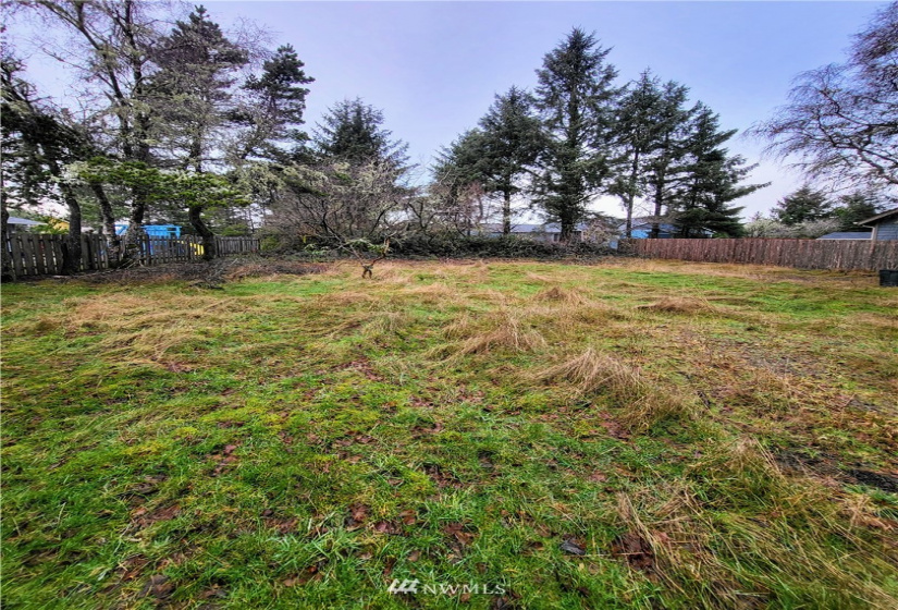 150 Seagate, Ocean Shores, Washington 98569, ,Land,For Sale,Seagate,NWM1877924