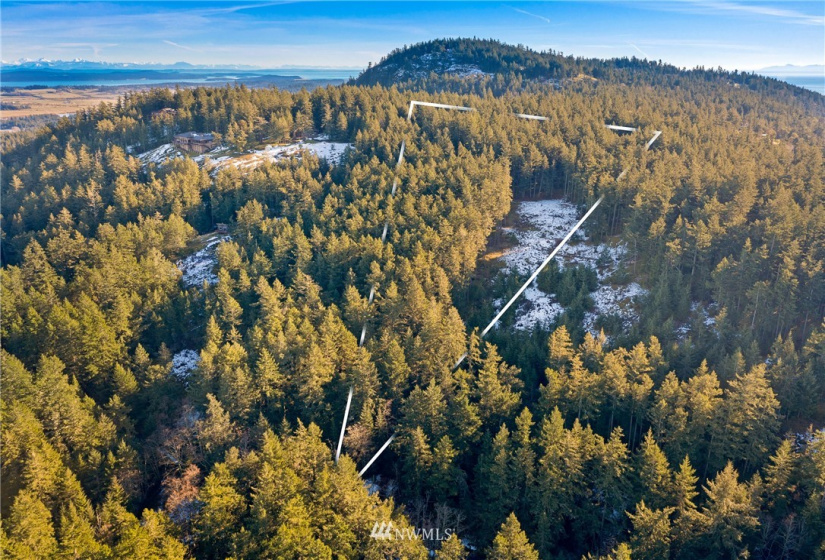 0 Mount Dallas, San Juan Island, Washington 98250, ,Land,For Sale,Mount Dallas,NWM1878680