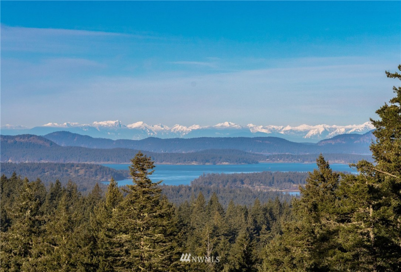 0 Mount Dallas, San Juan Island, Washington 98250, ,Land,For Sale,Mount Dallas,NWM1878680