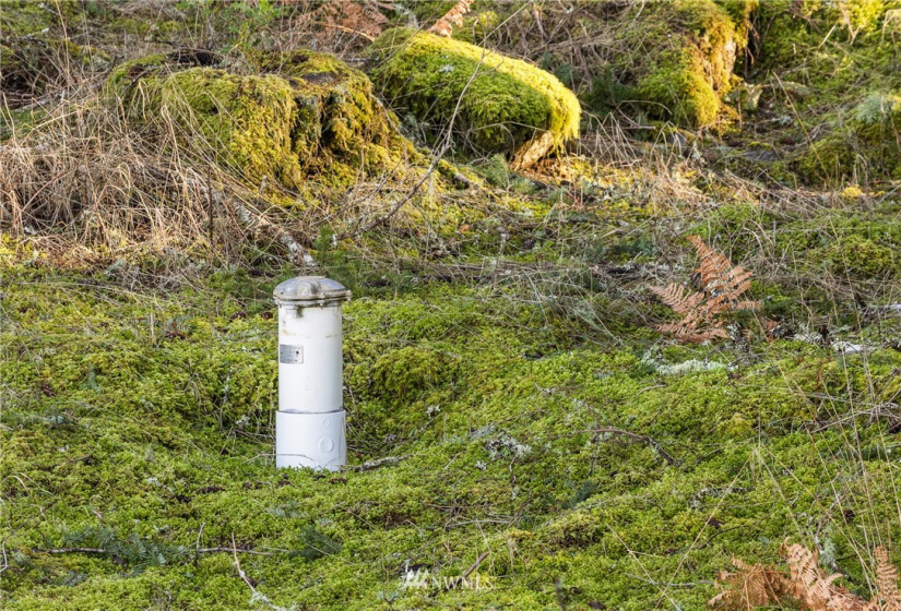 0 Mount Dallas, San Juan Island, Washington 98250, ,Land,For Sale,Mount Dallas,NWM1878680