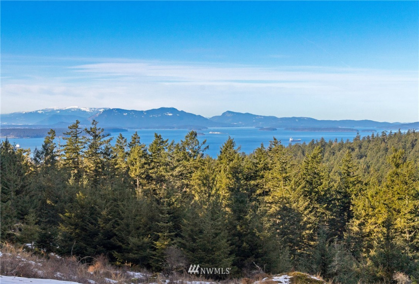 0 Mount Dallas, San Juan Island, Washington 98250, ,Land,For Sale,Mount Dallas,NWM1878680