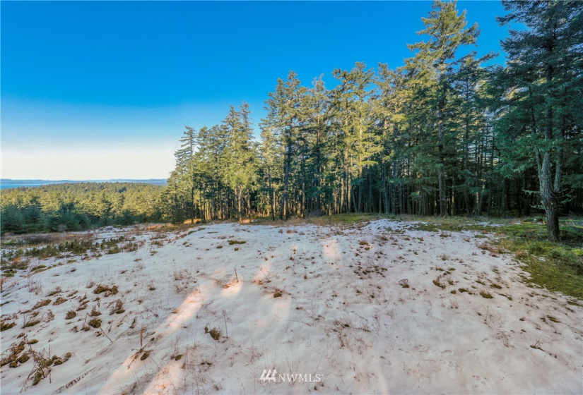 0 Mount Dallas, San Juan Island, Washington 98250, ,Land,For Sale,Mount Dallas,NWM1878680