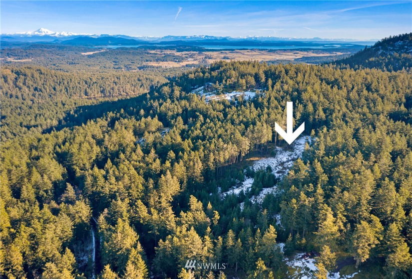 0 Mount Dallas, San Juan Island, Washington 98250, ,Land,For Sale,Mount Dallas,NWM1878680
