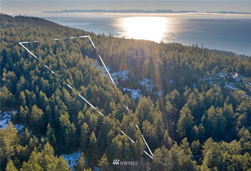 0 Mount Dallas, San Juan Island, Washington 98250, ,Land,For Sale,Mount Dallas,NWM1878680