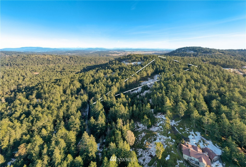 0 Mount Dallas, San Juan Island, Washington 98250, ,Land,For Sale,Mount Dallas,NWM1878680