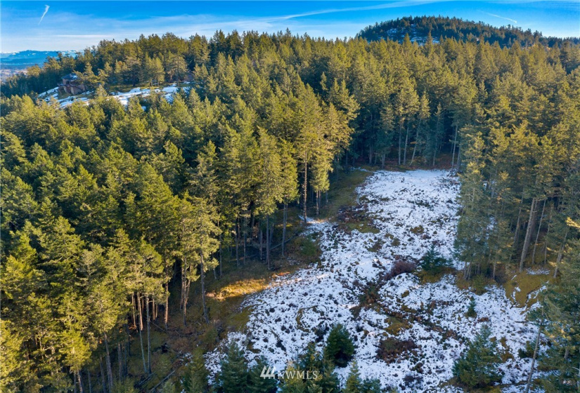 0 Mount Dallas, San Juan Island, Washington 98250, ,Land,For Sale,Mount Dallas,NWM1878680