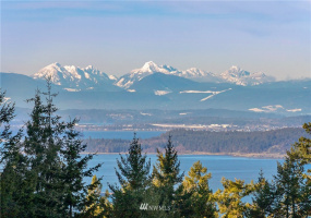 0 Mount Dallas, San Juan Island, Washington 98250, ,Land,For Sale,Mount Dallas,NWM1878680