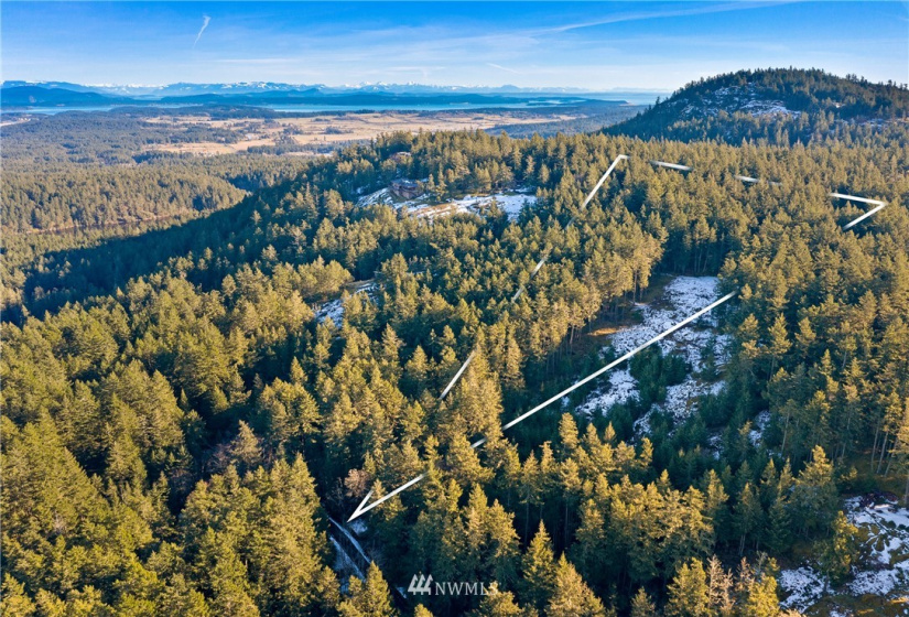 0 Mount Dallas, San Juan Island, Washington 98250, ,Land,For Sale,Mount Dallas,NWM1878680