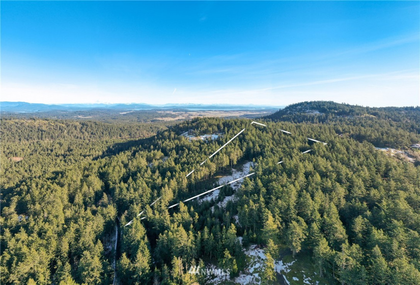0 Mount Dallas, San Juan Island, Washington 98250, ,Land,For Sale,Mount Dallas,NWM1878680