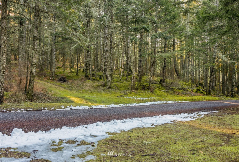 0 Mount Dallas, San Juan Island, Washington 98250, ,Land,For Sale,Mount Dallas,NWM1878680