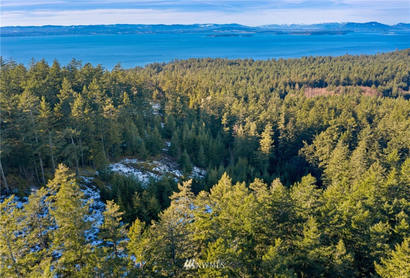 0 Mount Dallas, San Juan Island, Washington 98250, ,Land,For Sale,Mount Dallas,NWM1878680