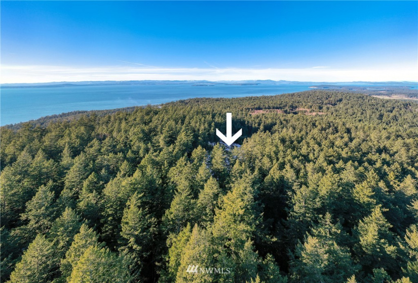 0 Mount Dallas, San Juan Island, Washington 98250, ,Land,For Sale,Mount Dallas,NWM1878680