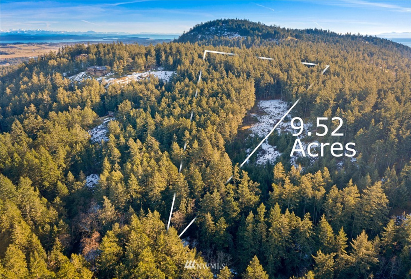 0 Mount Dallas, San Juan Island, Washington 98250, ,Land,For Sale,Mount Dallas,NWM1878680