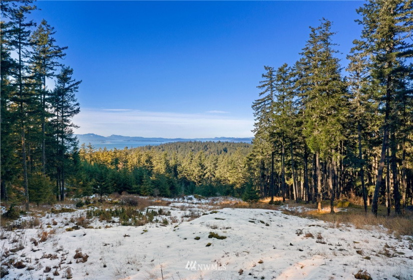 0 Mount Dallas, San Juan Island, Washington 98250, ,Land,For Sale,Mount Dallas,NWM1878680