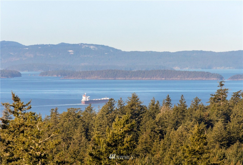 0 Mount Dallas, San Juan Island, Washington 98250, ,Land,For Sale,Mount Dallas,NWM1878680