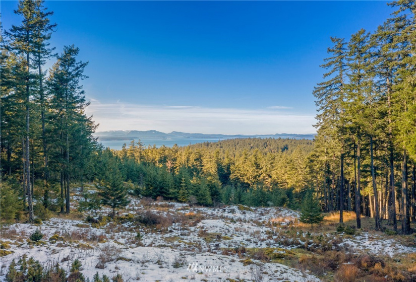 0 Mount Dallas, San Juan Island, Washington 98250, ,Land,For Sale,Mount Dallas,NWM1878680