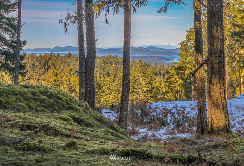 0 Mount Dallas, San Juan Island, Washington 98250, ,Land,For Sale,Mount Dallas,NWM1878680