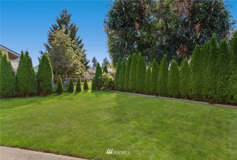 334 Williams, Renton, Washington 98057, 2 Bedrooms Bedrooms, ,Residential,For Sale,Williams,NWM1878664