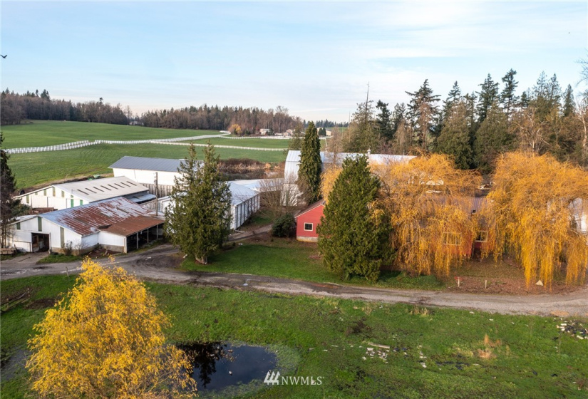 1858 Badger, Custer, Washington 98240, 4 Bedrooms Bedrooms, ,1 BathroomBathrooms,Farm,For Sale,Badger,NWM1878722