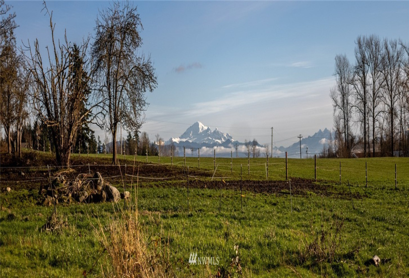 1858 Badger, Custer, Washington 98240, 4 Bedrooms Bedrooms, ,1 BathroomBathrooms,Farm,For Sale,Badger,NWM1878722