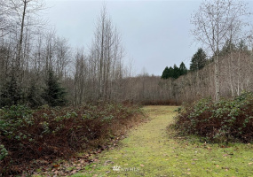 0 Vacant Land, Allyn, Washington 98524, ,Land,For Sale,Vacant Land,NWM1878639