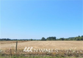 0 Lot 4 Tauscher, Chehalis, Washington 98532, ,Land,For Sale,Lot 4 Tauscher,NWM1878853