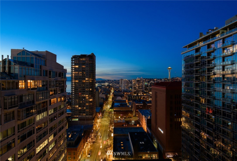 2000 1st, Seattle, Washington 98121, 2 Bedrooms Bedrooms, ,2 BathroomsBathrooms,Residential,For Sale,One Pacific Tower,1st,NWM1878267