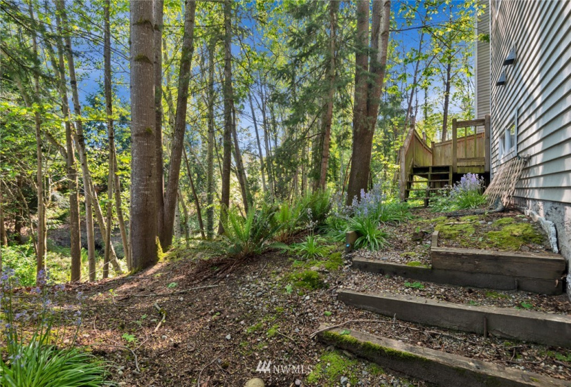 12331 101st, Kirkland, Washington 98033, 4 Bedrooms Bedrooms, ,1 BathroomBathrooms,Residential Lease,For Rent,Parish Gardens,101st,NWM1879029