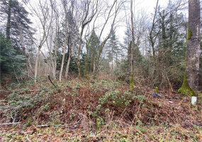 0 Weasel Run, Point Roberts, Washington 98281, ,Land,For Sale,Weasel Run,NWM1878013