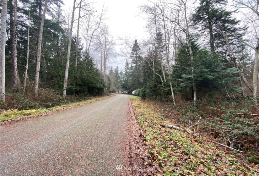 0 Weasel Run, Point Roberts, Washington 98281, ,Land,For Sale,Weasel Run,NWM1878013