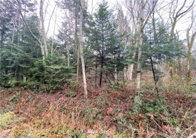 0 Weasel Run, Point Roberts, Washington 98281, ,Land,For Sale,Weasel Run,NWM1879070