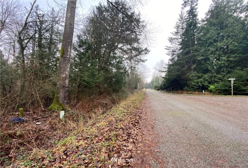 0 Weasel Run, Point Roberts, Washington 98281, ,Land,For Sale,Weasel Run,NWM1879070