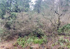 0 Roosevelt Rd, Point Roberts, Washington 98281, ,Land,For Sale,Roosevelt Rd,NWM1879071