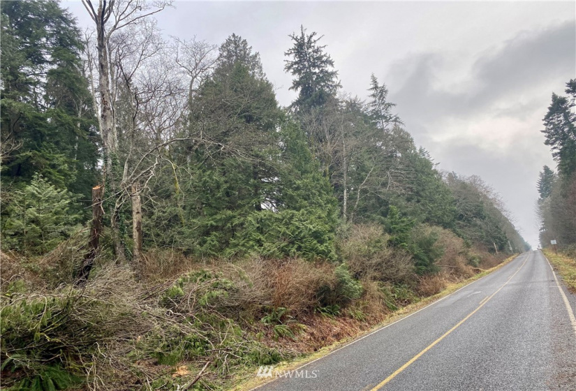 0 Roosevelt Rd, Point Roberts, Washington 98281, ,Land,For Sale,Roosevelt Rd,NWM1879071