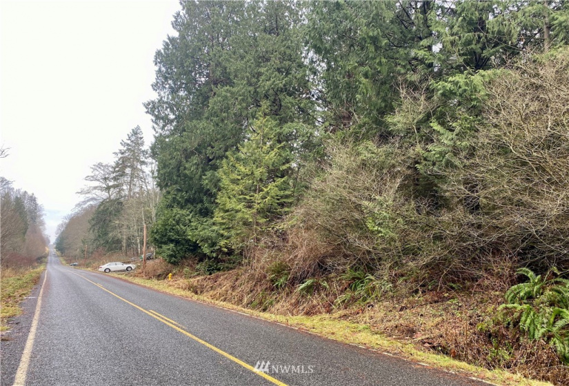0 Roosevelt Rd, Point Roberts, Washington 98281, ,Land,For Sale,Roosevelt Rd,NWM1879071