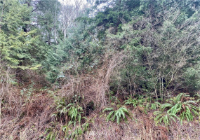 0 Roosevelt Rd, Point Roberts, Washington 98281, ,Land,For Sale,Roosevelt Rd,NWM1879073