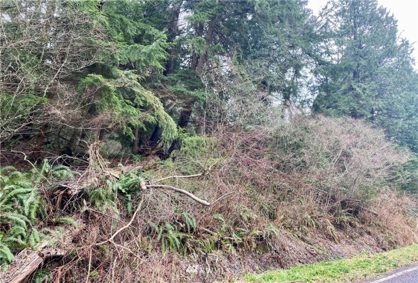 0 Roosevelt Rd, Point Roberts, Washington 98281, ,Land,For Sale,Roosevelt Rd,NWM1879073