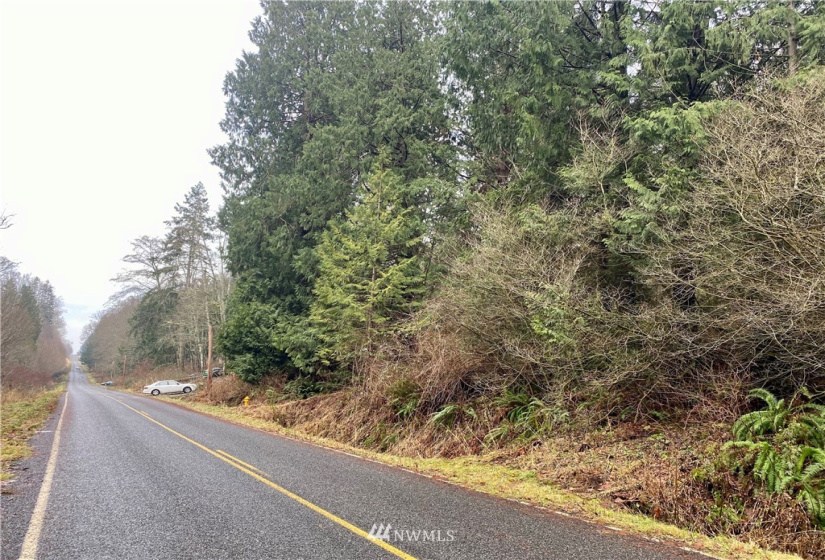 0 Roosevelt Rd, Point Roberts, Washington 98281, ,Land,For Sale,Roosevelt Rd,NWM1879073